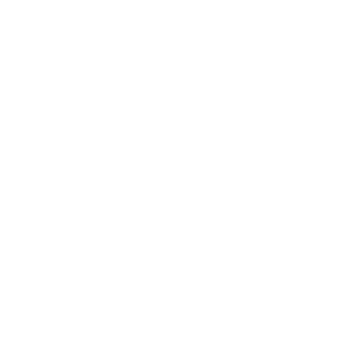 Construction and Project Execution